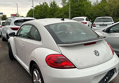 VW Beetle Volkswagen Sport