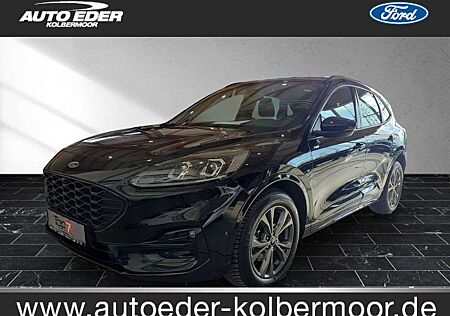Ford Kuga ST-Line leichter Hagelschaden Sportpaket Navi