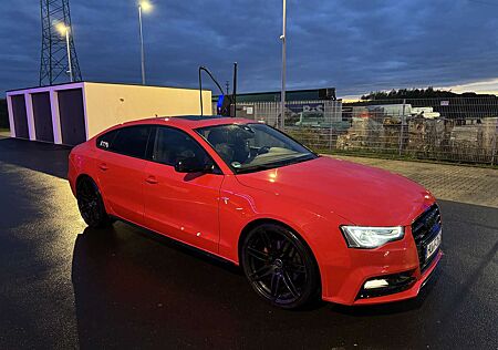 Audi A5 gebraucht kaufen Audi A5 3.0 TDI Sportback quattro DPF S tronic