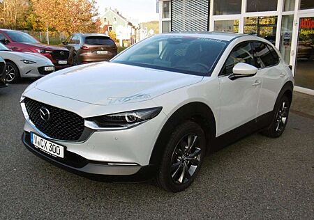 Mazda CX-30 Exclusive Matrix-LED Bose Navi 360° Head up