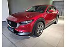 Mazda CX-30 Selection X-180/Design/Bose/I-Act.-P./Navi/Head-Up