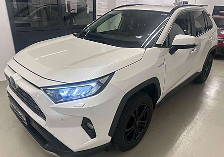 Toyota RAV 4 RAV4 Hybrid Team Deutschland