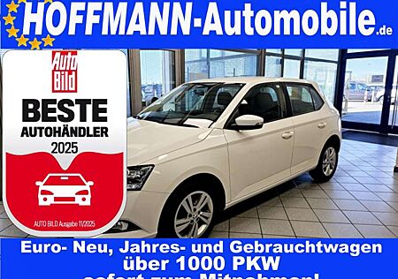 Skoda Fabia Ambition App-Connect,PDC,Kamera,SH