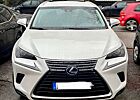 Lexus NX 300 NX 300h NX 300h