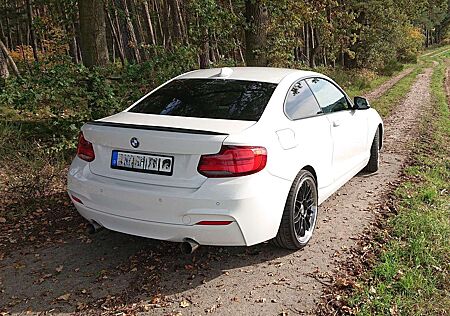 BMW 220i 220 Coupé Sport Line 19" *Sportauspuff M-Heck*