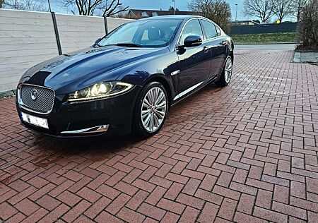Jaguar XF XF Diesel 3.0 V6 Diesel