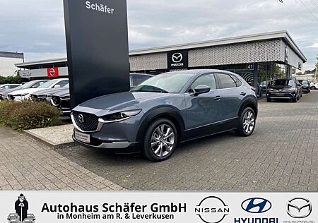 Mazda CX-30 Selection 360 Grad Kamera AHK-abnehmbar SHZ Lenkra