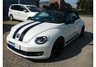 VW Beetle Volkswagen Cabriolet Sport