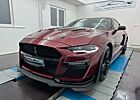 Ford Mustang 2.3 Eco Shelby GT-500/Bordeaux/Andro/R19