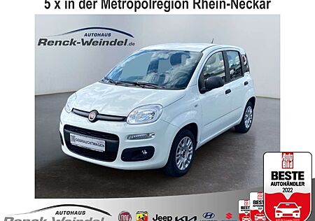 Fiat Panda Easy 1.2 BT DAB Berganfahrass. SHZ Klima Multif.Le