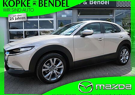 Mazda CX-30 Selection 186 PS *Automatik*AHK*LED* BOSE*Kamera*S