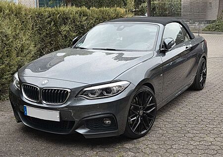 BMW 230 i Cabrio Aut. M-Sport, H&K Surround, NaviProf