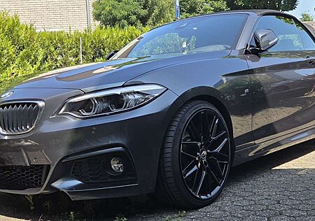 BMW 230 i Cabrio Aut. M-Sport, H&K Surround, NaviProf