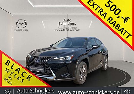 Lexus UX 300e Executive Paket+LEDER+ACAA