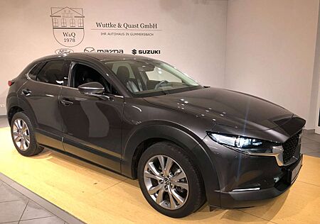 Mazda CX-30 Selection "Leder, Matrix, 360°"