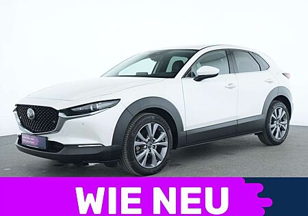 Mazda CX-30 gebraucht kaufen Mazda CX-30 Selection ACC|LED|Apple CarPlay|Navi