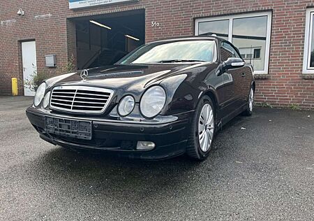 Mercedes-Benz CLK 200 KOMPRESSOR AVANTGARDE/Leder/Gas LPG