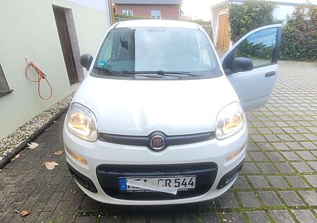 Fiat Panda 1.2 More