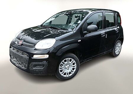 Fiat Panda MHEV 5-DAB 5-Sitzer PDC DigCo LaneA Temp