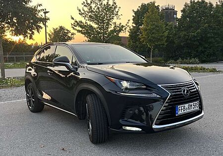Lexus NX 300 NX 300h E-FOUR Executive Line