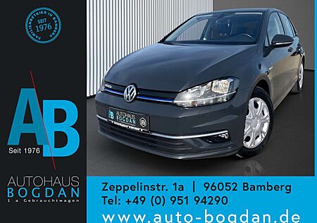 VW Golf Volkswagen BM EVO 130 Connect adapt.Tempomat*AHK*Navi*LED