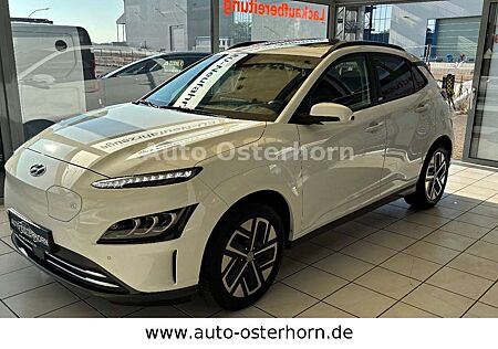 Hyundai Kona Trend Elektro / Glas Schiebe Dach elektr.