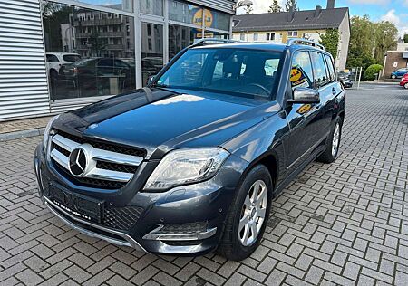 Mercedes-Benz GLK 250 CDI BlueTec 4Matic/Leder/Totwinkel