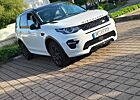 Land Rover Discovery Sport Si4 Black Edition/Standheizung Gepflegt!