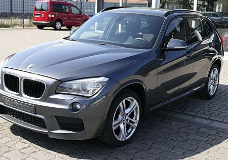 BMW X1 25 d xDrive/Sport-Paket M/M Technic/AHK