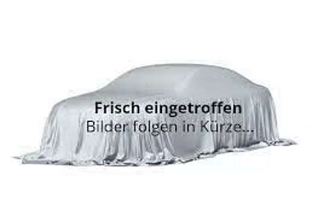 Ford Galaxy 2.0 TDCI Trend / 1. Hand