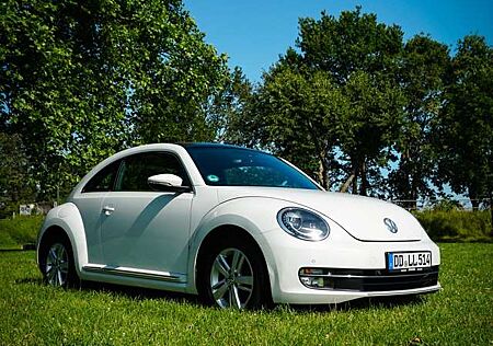 VW Beetle Volkswagen The 1.6 TDI DPF