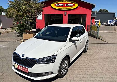 Skoda Fabia 1,0TSI Smartlink PDC-Kamera NAVI SHZ Style