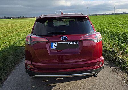 Toyota RAV 4 2.5 4x2 Hybrid Team Deutschland