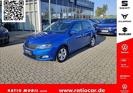 Skoda Fabia STYLE GREEN TEC 1.0 TSI EPH SITZHZG. AHZV