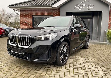 BMW X1 sDrive20i,M Sport,AHK,Kamera,Navi,Carplay