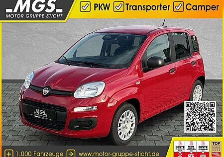 Fiat Panda Pandina POP Hybrid #KLIMA #PARKSENSOREN