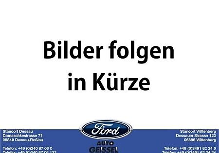 Ford Puma ST-Line,LED.Navi.Winter.PDC.Kamera