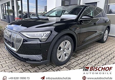 Audi e-tron 55 quattro Kamera AIR-SUS DAB SHZ