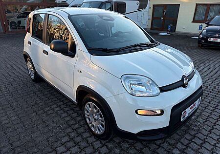Fiat Panda MY24 Hybrid + City-Paket