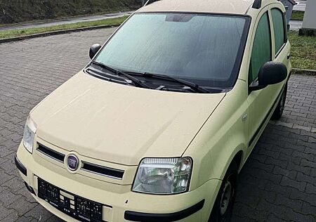 Fiat Panda 1.2 8V Dynamic