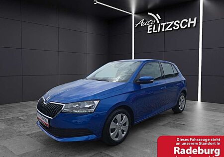 Skoda Fabia Cool Plus 1.0 TSI KLIMA DAB SITZHEIZUNG