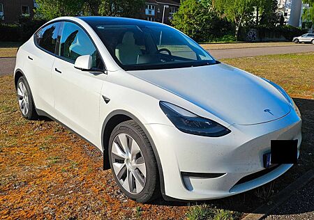 Tesla Model Y Long Range Dual Motor AWD