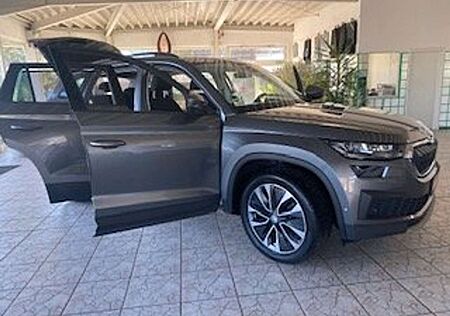 Skoda Kodiaq 2.0 TSI 4x4 DSG Clever Navi, AHK, ...