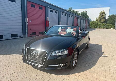 Audi A3 Cabriolet Ambition 1Hand Navi Leder