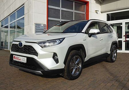 Toyota RAV 4 2.5 Hybrid Team D. Panorama 5J Garantie