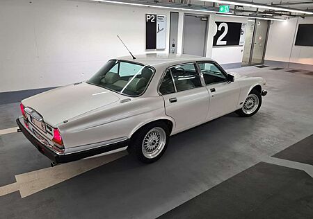 Jaguar Daimler XJ V12 Double Six gepflegt H-Kennzeichen TÜV