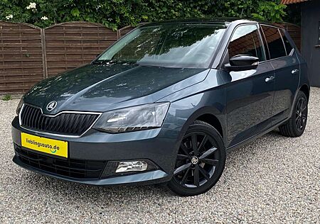 Skoda Fabia 1.2 TSI Colour Concept Klimaautomatik SHZ