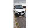 Hyundai H 350 H350 Cargo L2H2 EU6 S