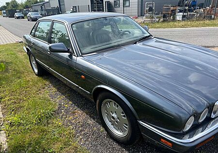 Jaguar XJ6 3.2 Executive