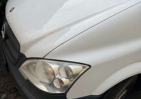 Mercedes-Benz Vito 113 CDI 113 CDI Lang Mixto (LKW)